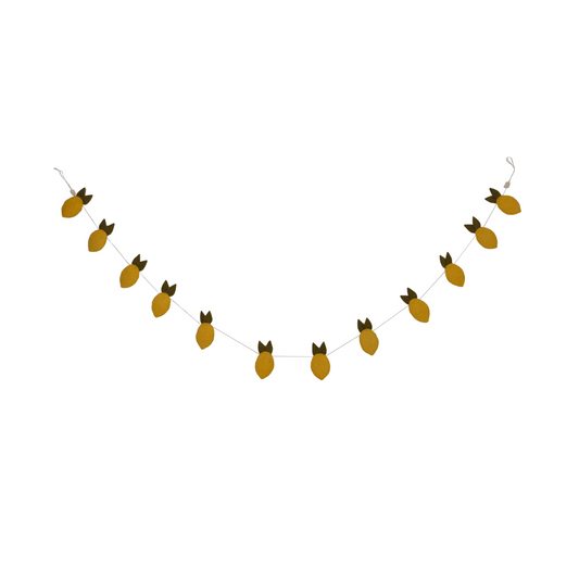 Handmade deco Slinger Citrus